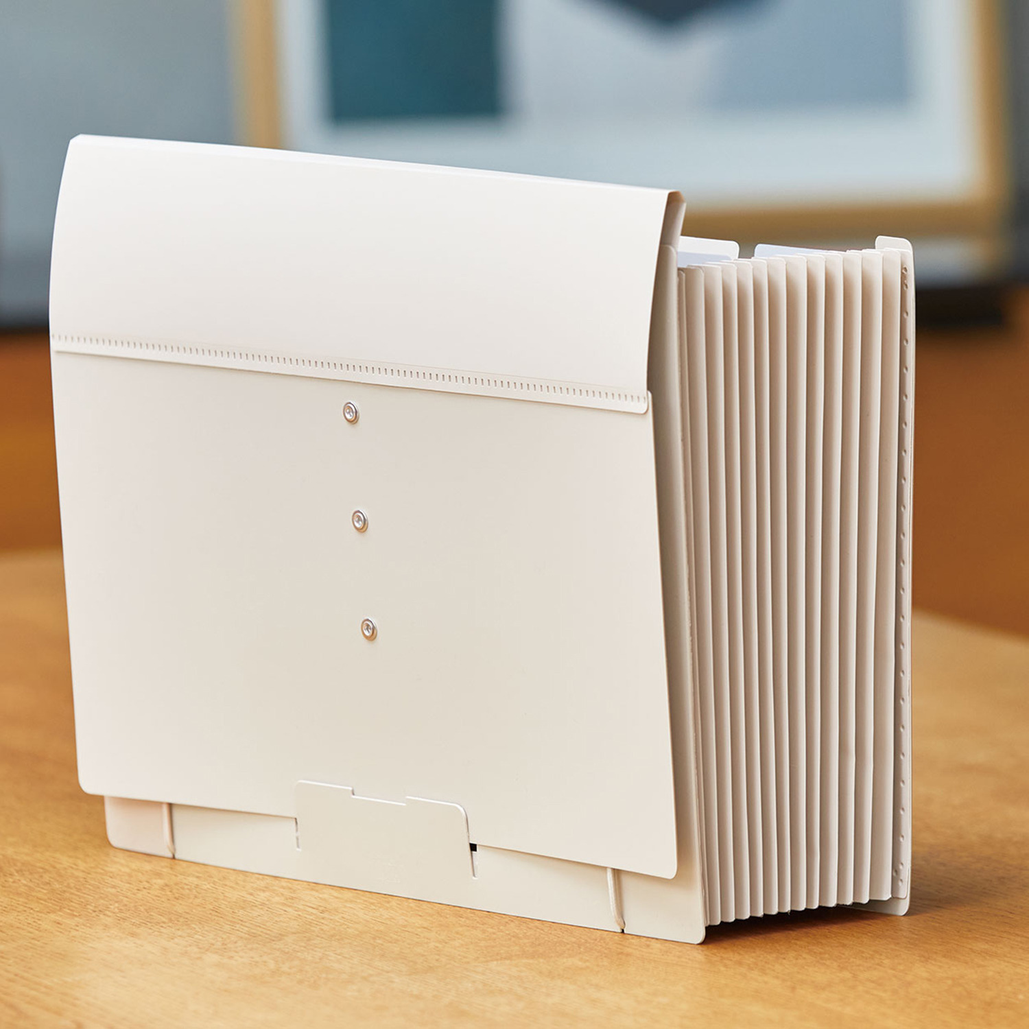 サクッと整理！ ドキュメントファイル 選べる２個セット ＜フタ付タイプ＞