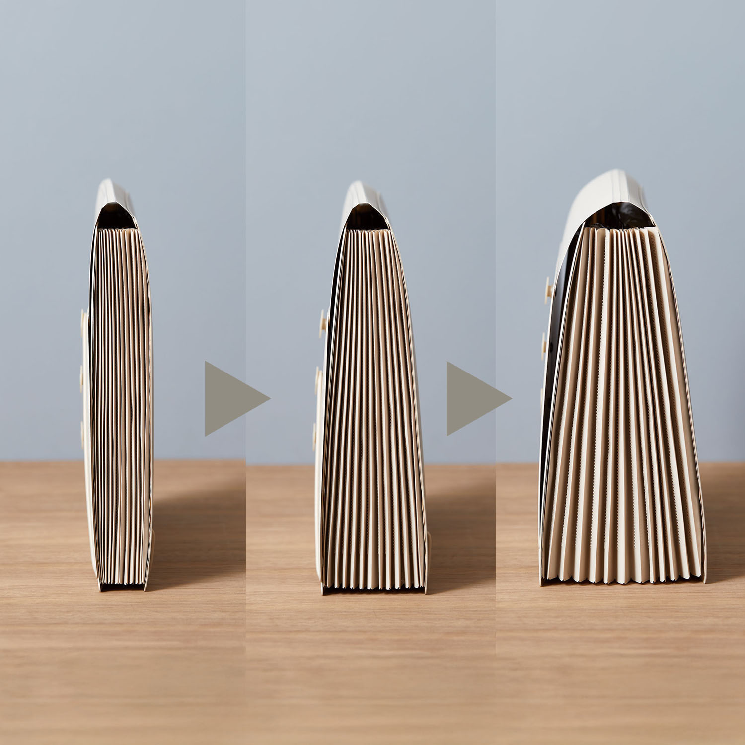 サクッと整理！ ドキュメントファイル 選べる２個セット ＜フタ付タイプ＞