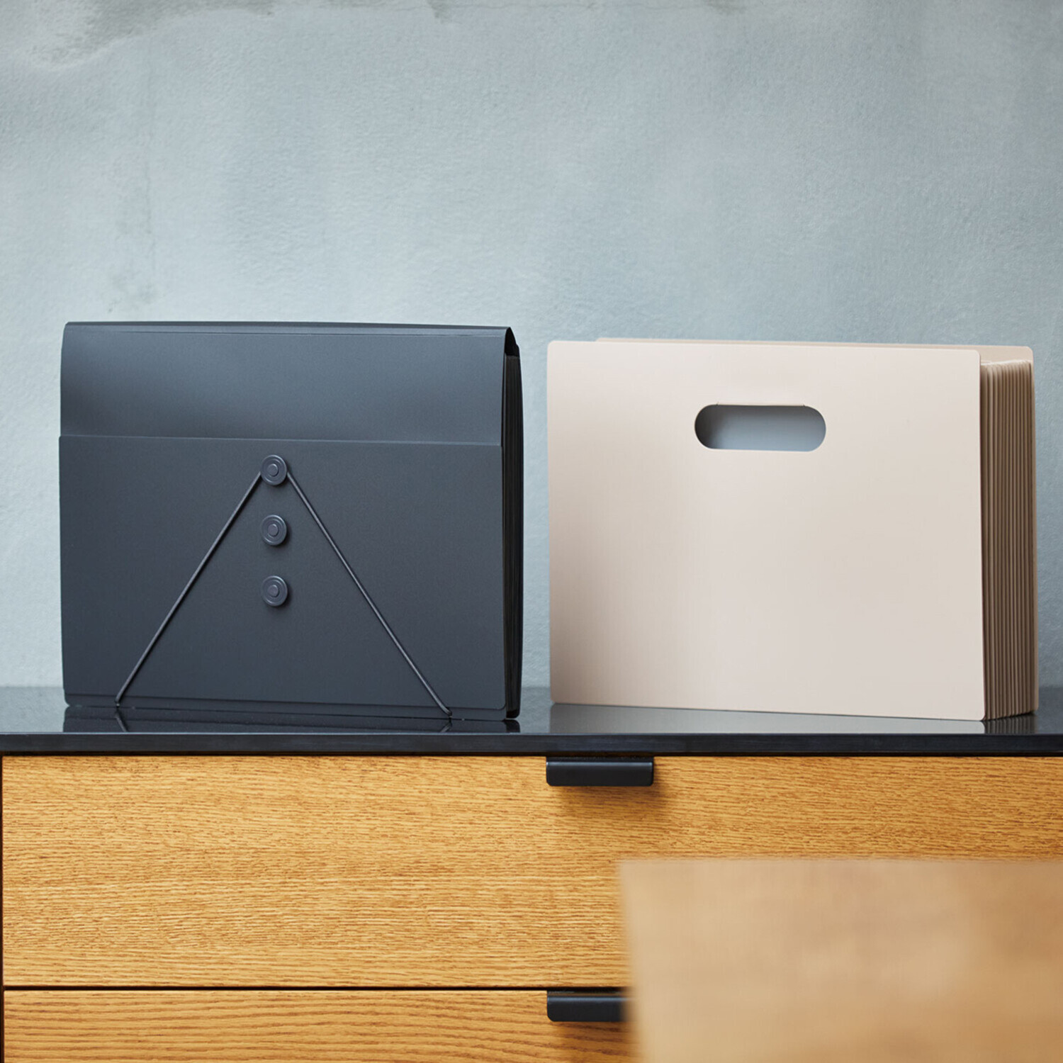 サクッと整理！ ドキュメントファイル 選べる２個セット ＜フタ付タイプ＞