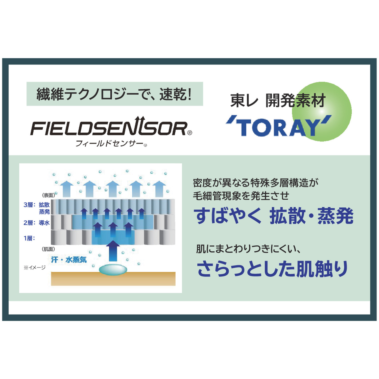 グレイスウェア 日本製 東洋紡ディスメル使用 吸水・消臭 綿混ショーツ 同色２枚セット