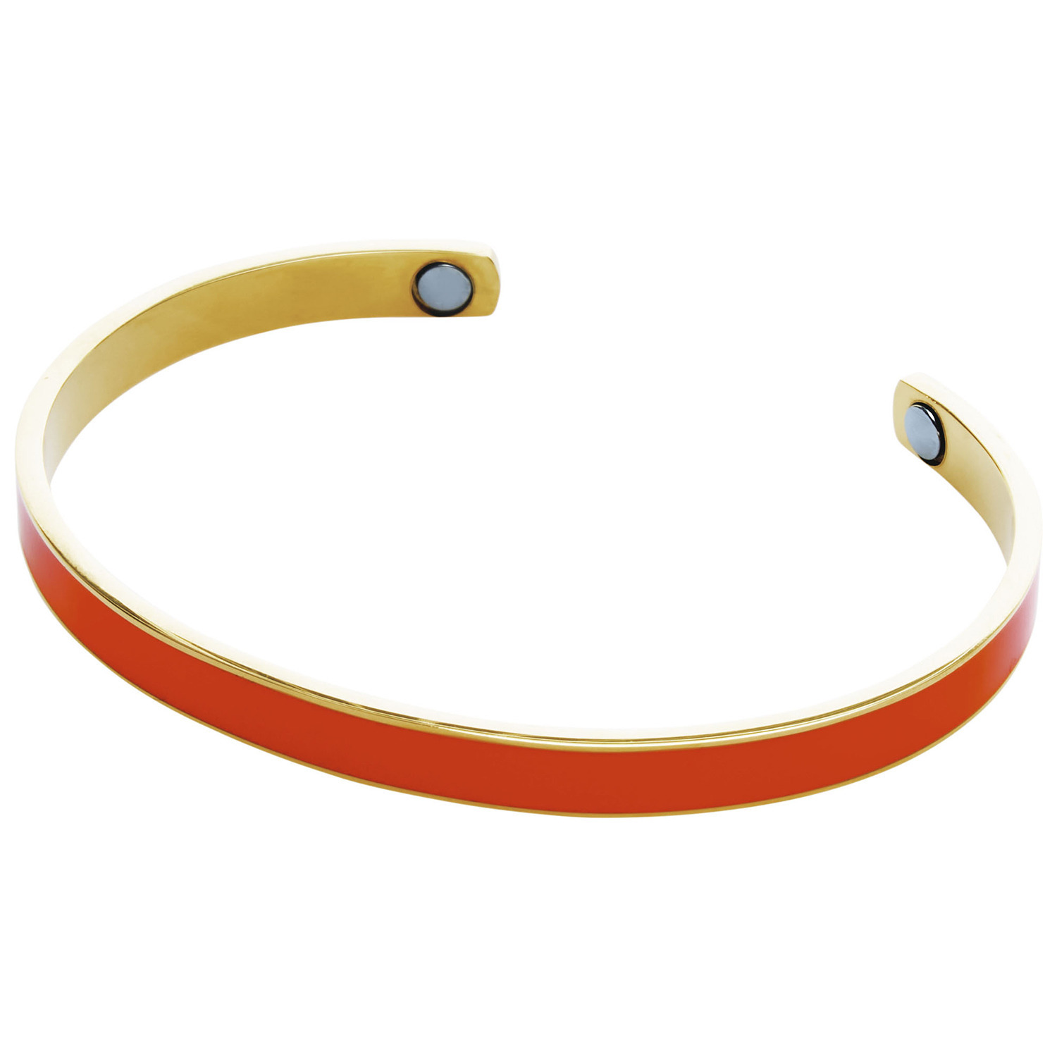 リジェップ 静電気対策バングル ２色セット