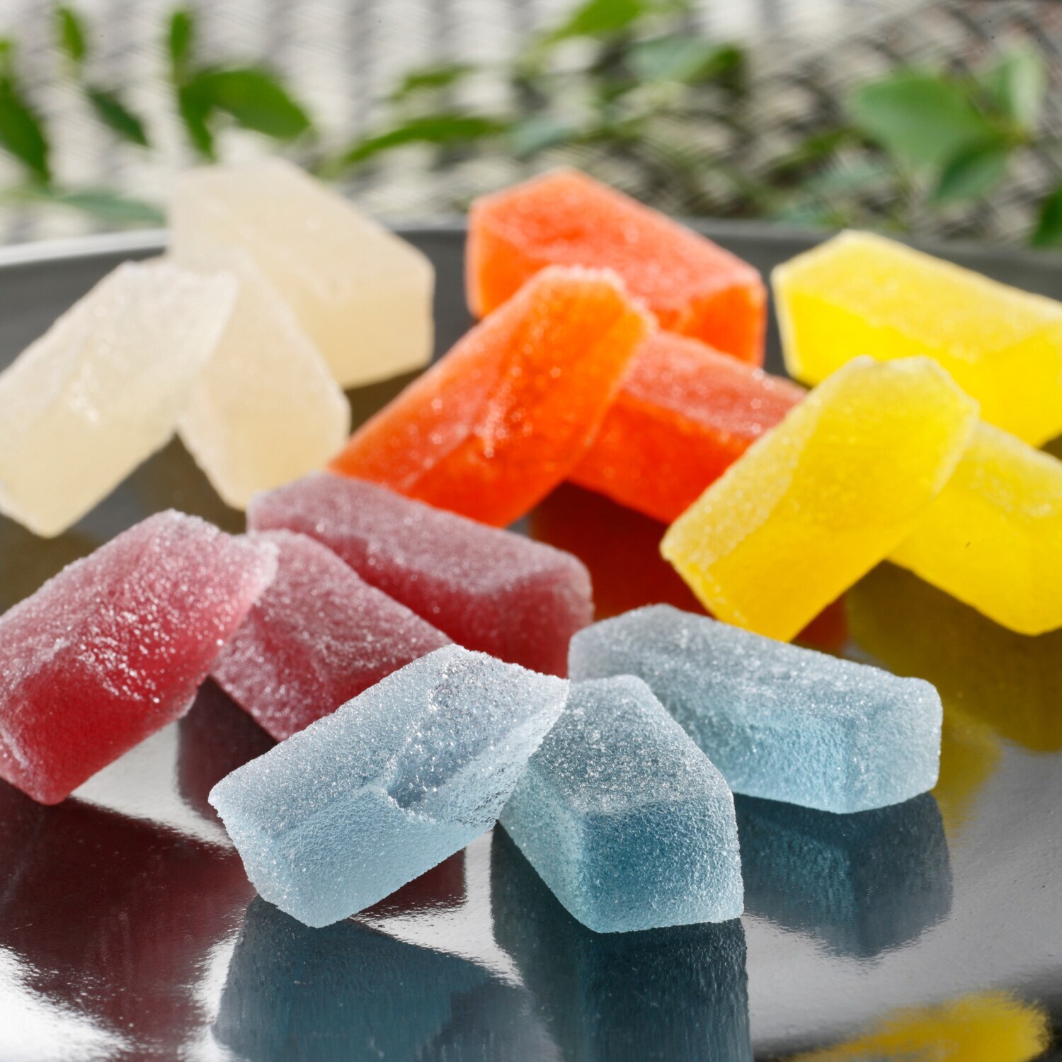 老舗和菓子屋の 三代目がつくる 国産果汁使用 もっちり寒天ゼリー