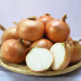 曽根さん伝承！ 淡路ゆうき耕房の 淡路島産たまねぎ ＜８ｋｇ＞