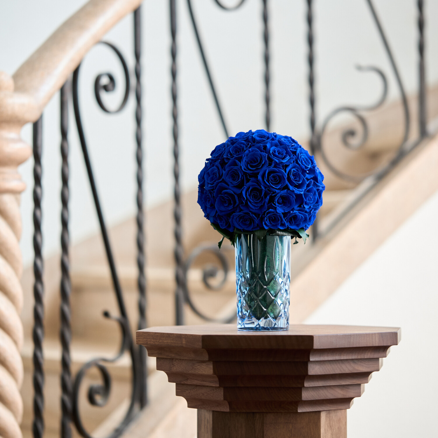 ＧＩＮＺＡ ＳＯＢＩ　ＦＬＯＷＥＲＳ プリザーブドフラワー クラシカ　Ｔａｌｌ