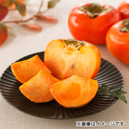 完熟!大きくてあま〜い "陽豊柿" 完熟!大きくてあま〜い "陽豊柿"