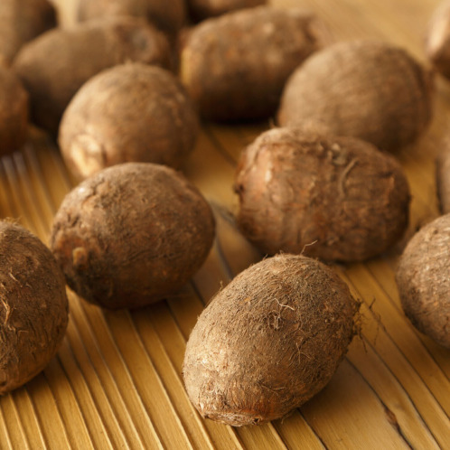 新潟県産里芋 砂里芋(さりいも) 新潟県産里芋 砂里芋(さりいも)