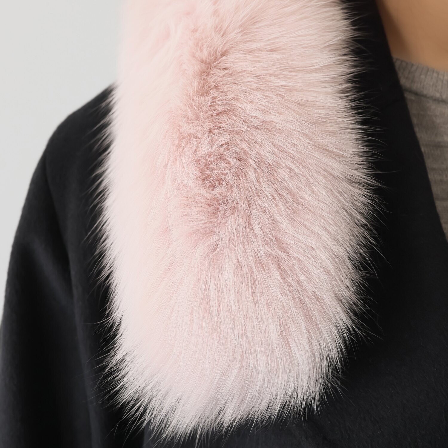 日本製 ＳＡＧＡ フォックスカラー