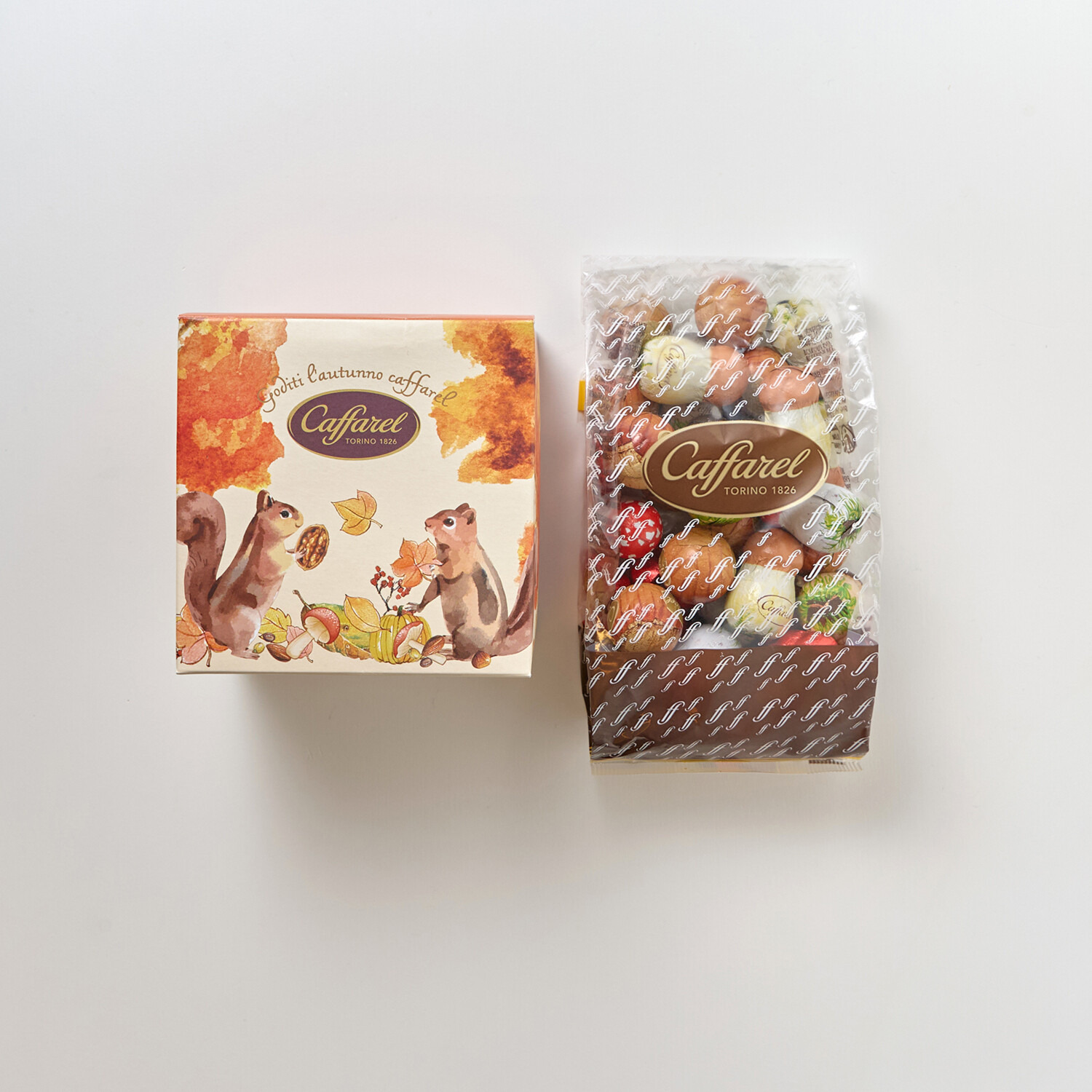 カファレル 森の仲間たち