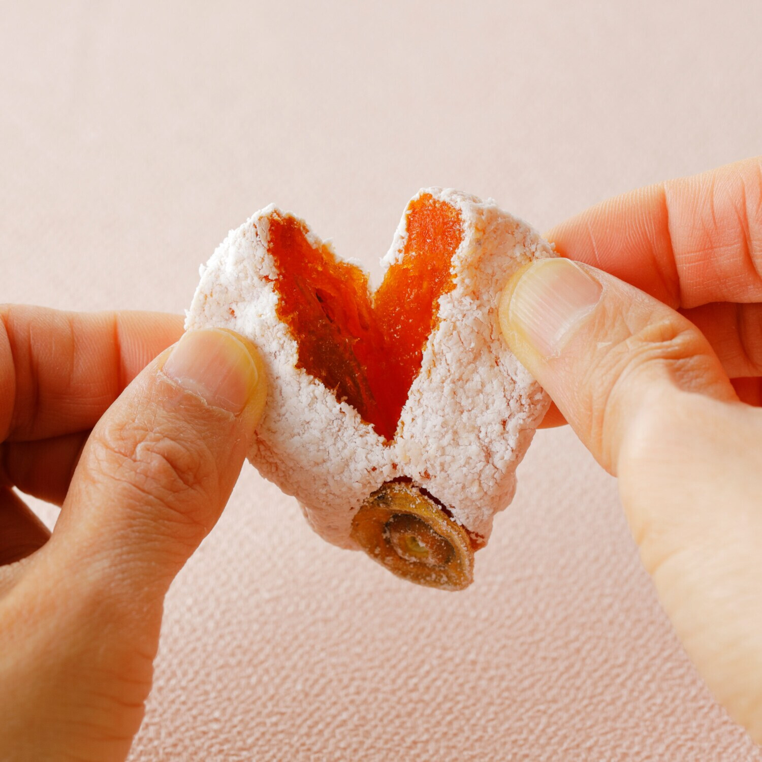 信州の恵み 市田柿（サイズ無選別）