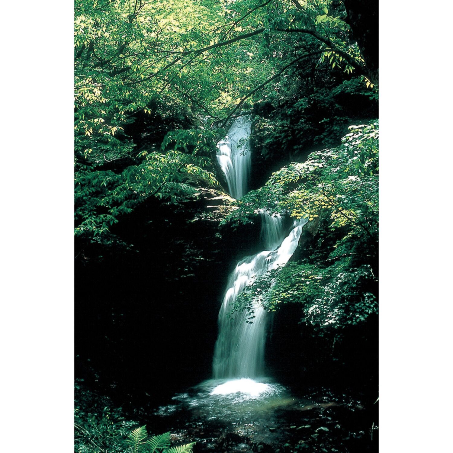 毎日の習慣に！ “リセットタイム” お水１２ヶ月頒布会