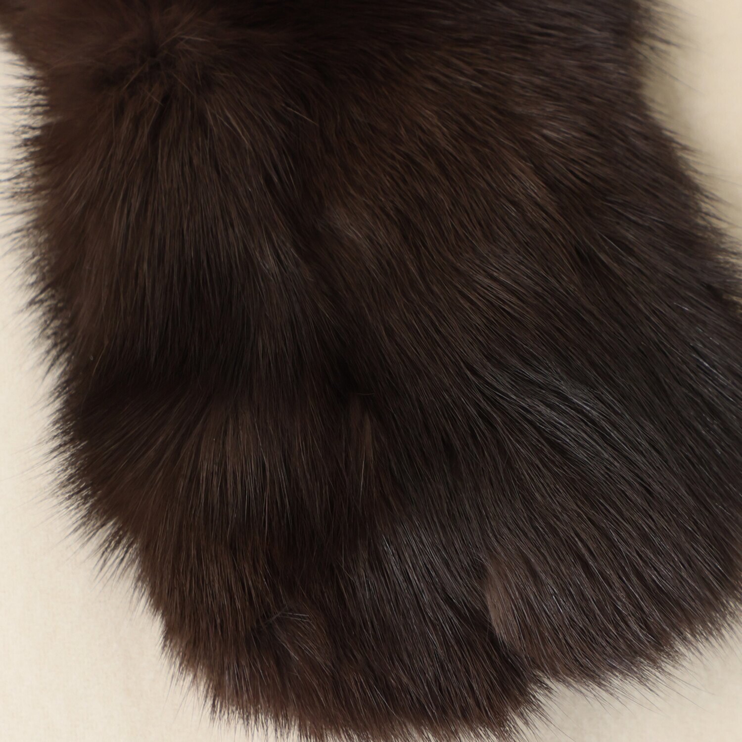 ロシアンセーブル カラー