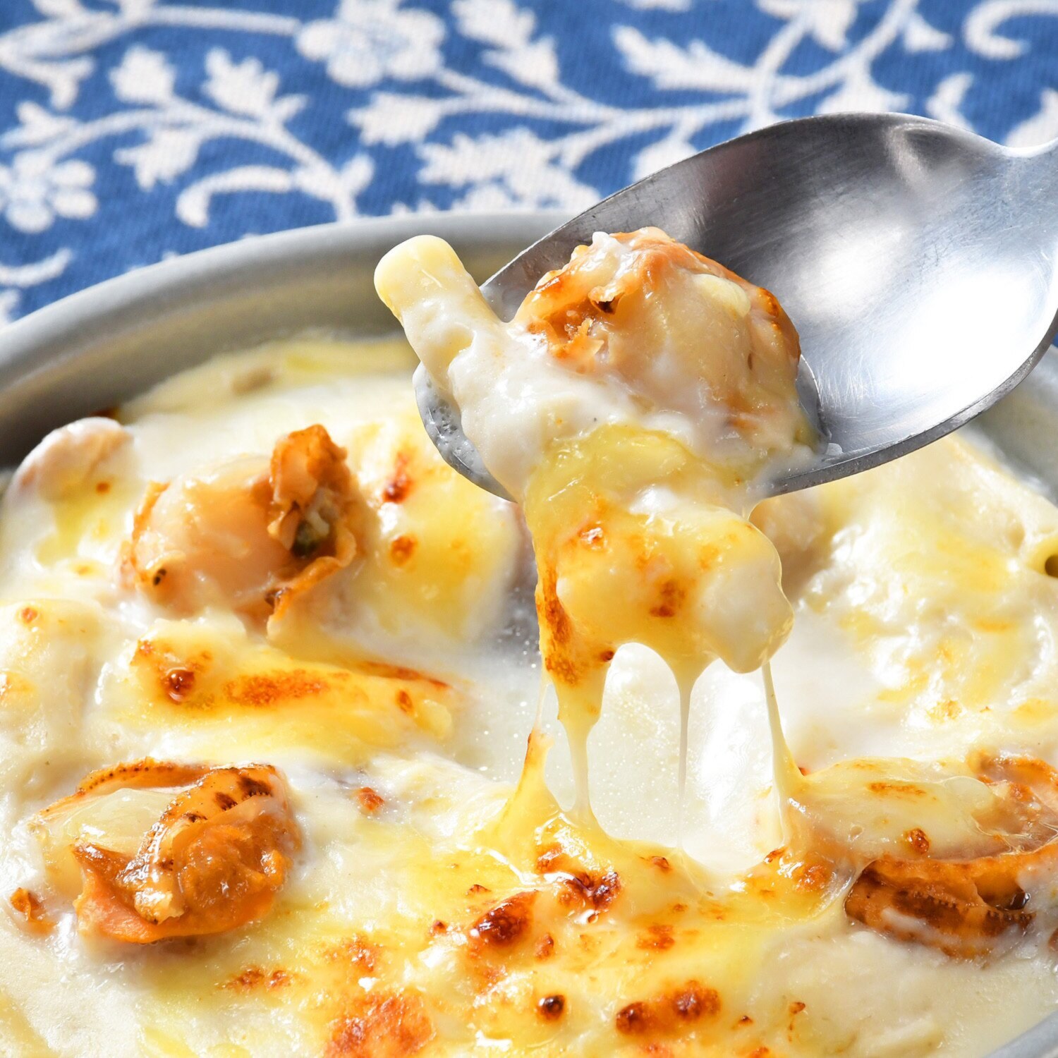 フレンチの家庭料理 ビストロエガリテ フレンチ風グラタン ４ヶ月頒布会