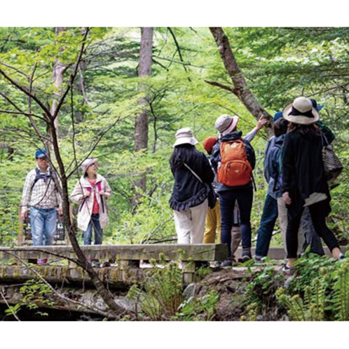 大人時間を愉しむ 立山黒部アルペンルート 上高地の旅３日間 ２名１室 東京・上野・大宮駅発着