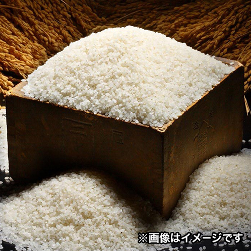 京都与謝野 特別栽培米こしひかり 喜左衛門