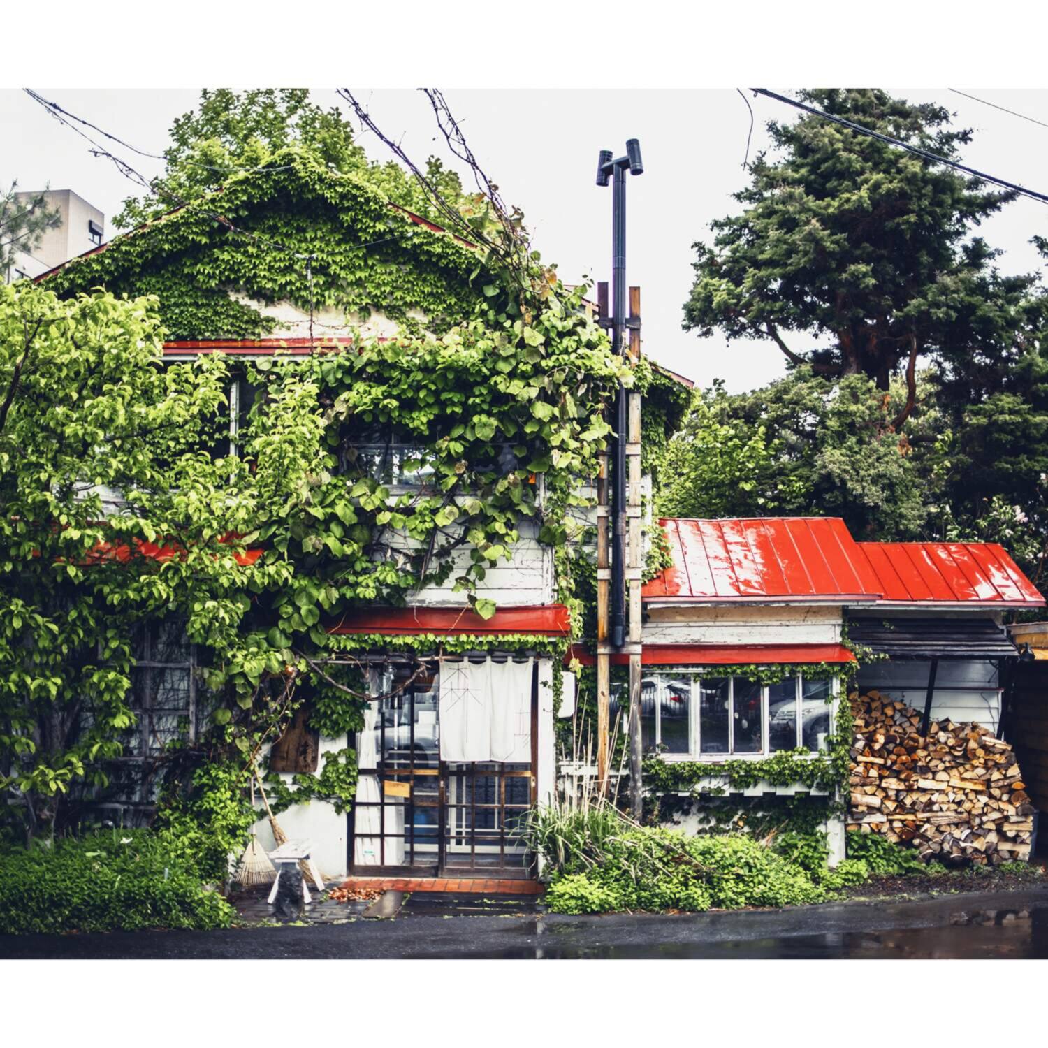 キューリグ Ｋカップ 珈琲の飲み比べが 楽しめる！ コーヒーマイスターが選ぶ ４種セット