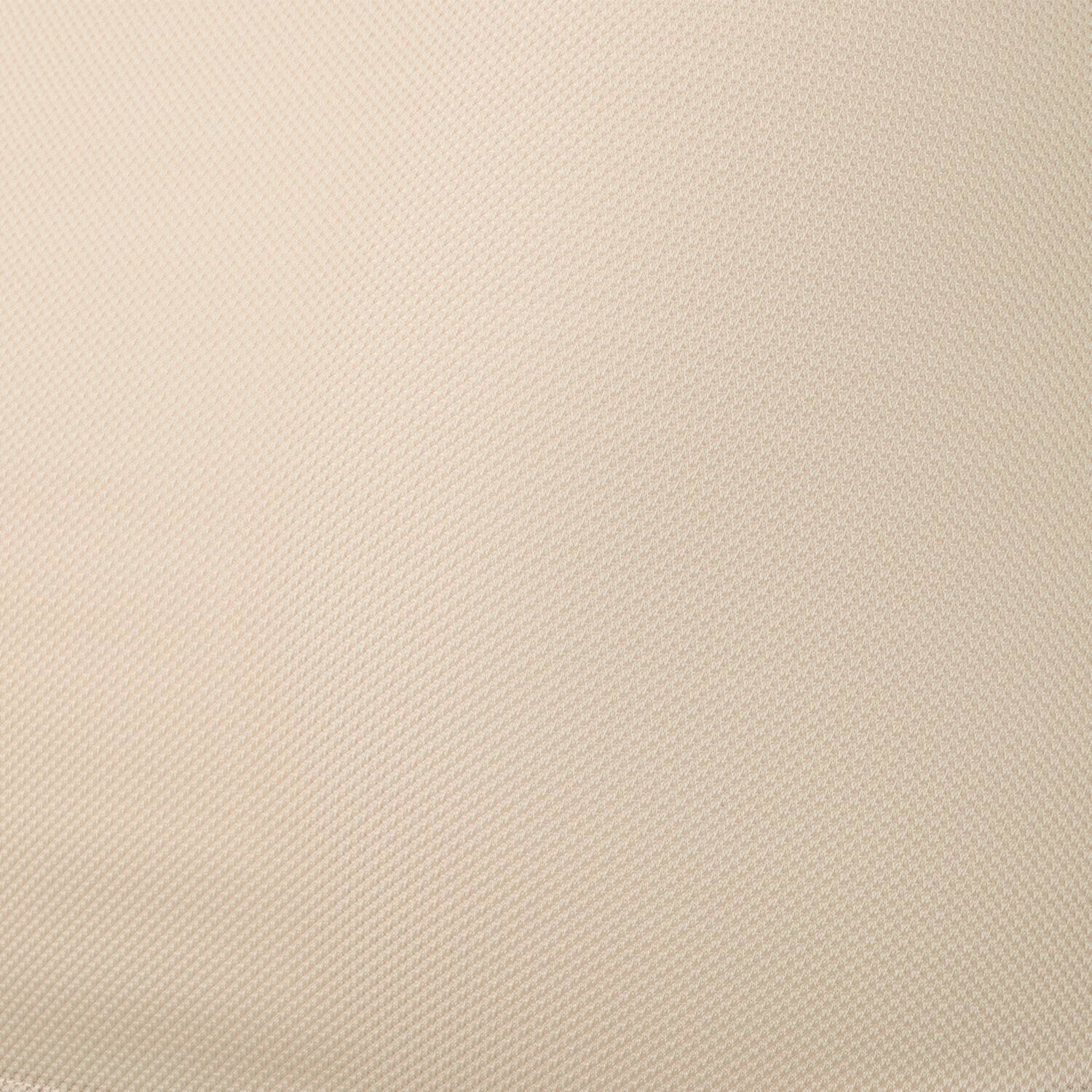 きれいになろう！ 爽やかメッシュ調 ワイヤーで美バストメイク ブラキャミ２枚セット