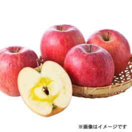 フルーツアドバイザー 杉本氏厳選！ 山形フルーツ ＜サンふじ＆はるか 　りんご詰め合わせ＞