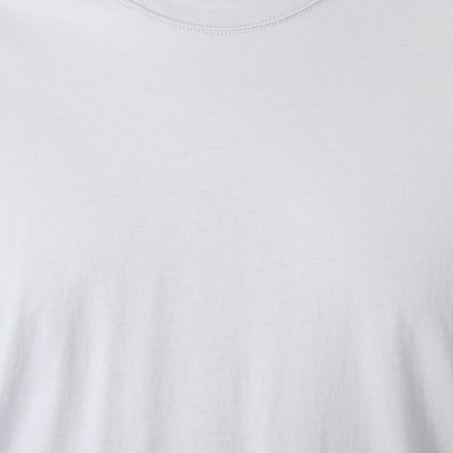 エイガールズ スビン綿混 ＬＯＴＵＳ　ＨＡＮＥ 長袖プルオーバー ＜メンズ＞