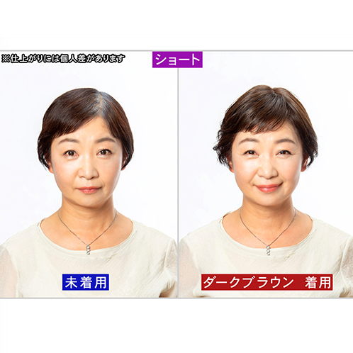 ぺスカ 特許取得！ ふんわりボリューム演出 クリップ不要！白髪特化型 ポイントウィッグ 新　チャチャ＜ショート＞ 特別セット