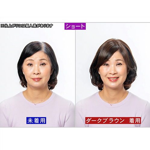 ぺスカ 特許取得！ ふんわりボリューム演出 クリップ不要！白髪特化型 ポイントウィッグ 新　チャチャ＜ショート＞ 特別セット