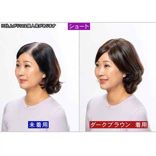 ぺスカ 特許取得！ ふんわりボリューム演出 クリップ不要！白髪特化型 ポイントウィッグ 新　チャチャ＜ショート＞ 特別セット