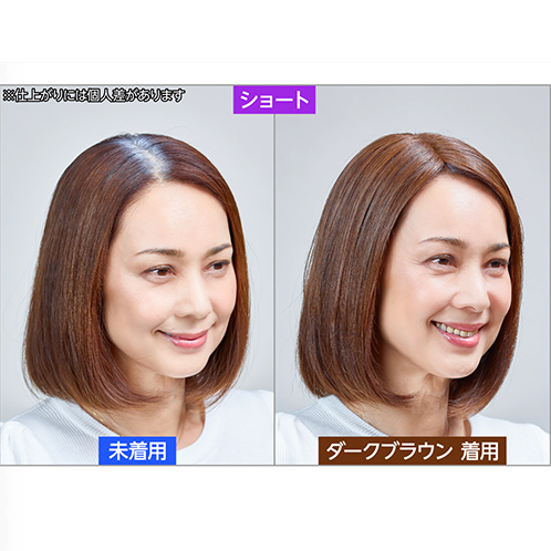 ぺスカ 特許取得！ ふんわりボリューム演出 クリップ不要！白髪特化型 ポイントウィッグ 新　チャチャ＜ショート＞ 特別セット