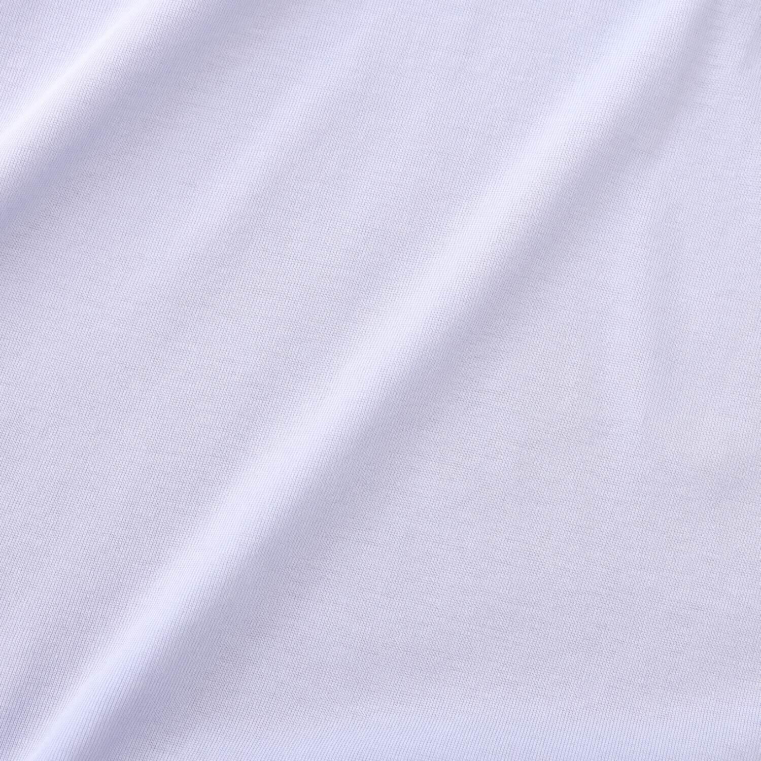 ヤエアジュテ ヤエアジュテ定番 シアーカットソー ハイネックプルオーバー