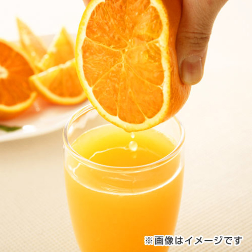 甘みたっぷりジューシー 清見タンゴール ＜小玉＞