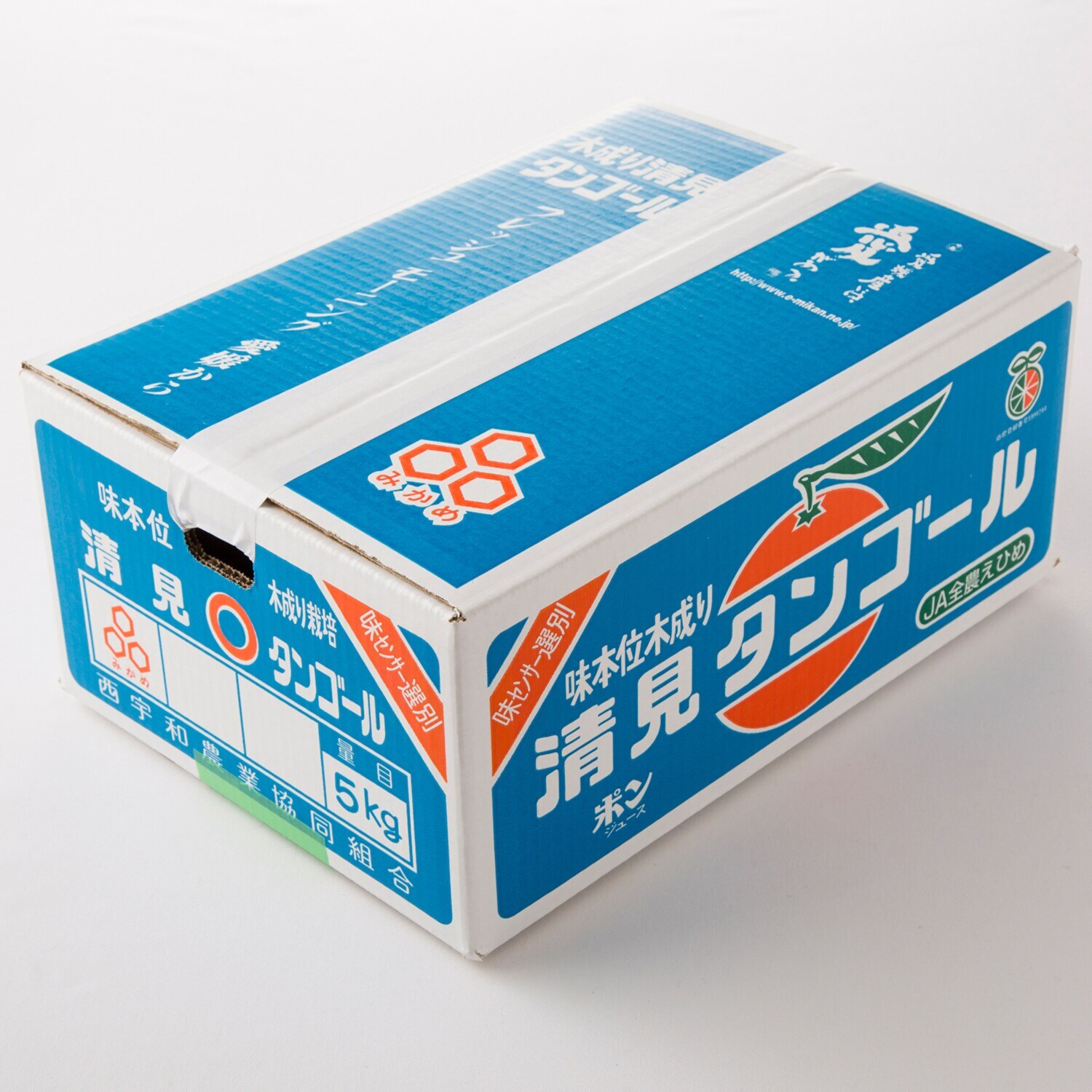 甘みたっぷりジューシー 清見タンゴール ＜大玉＞