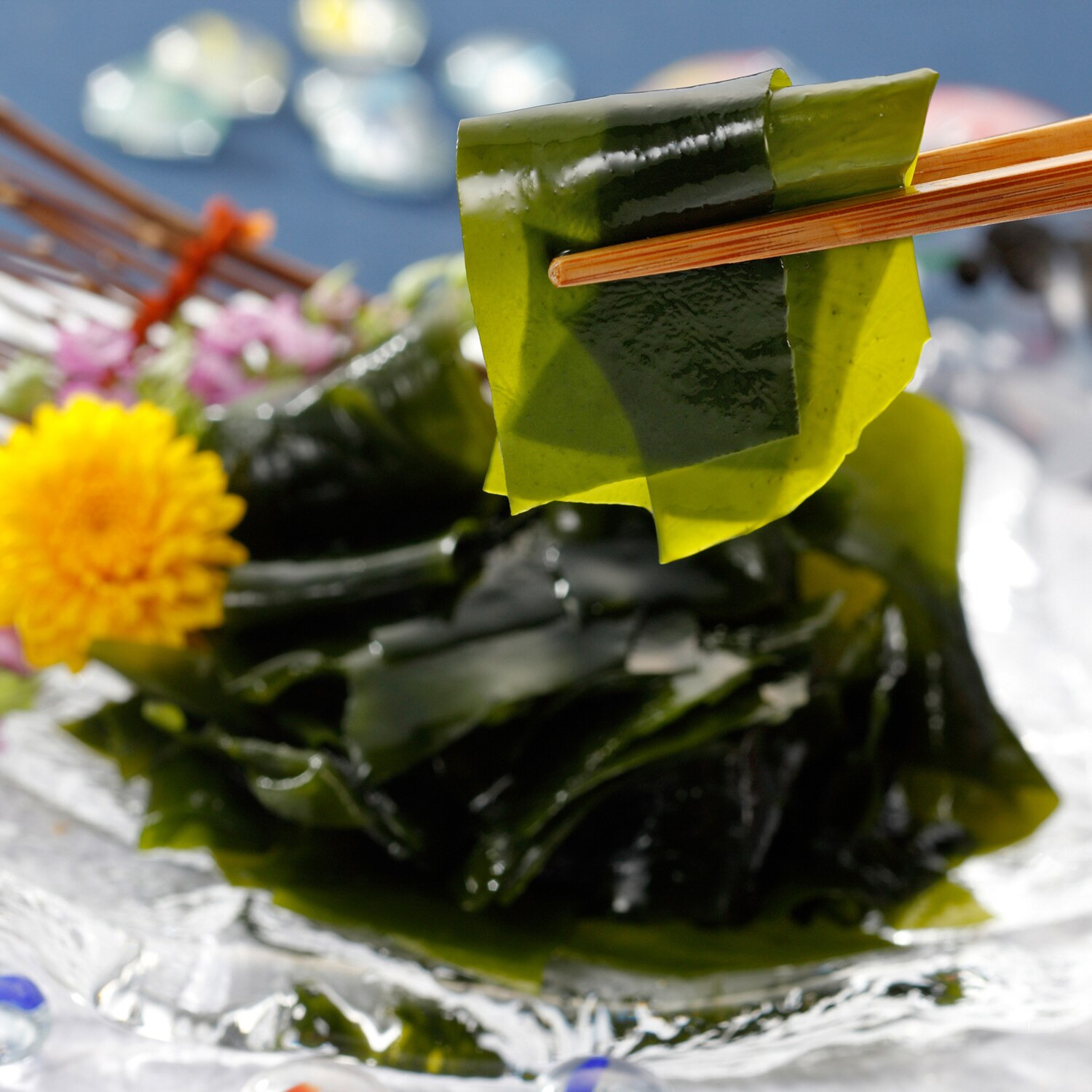 ＜岩手＞綾里産 一等品わかめ