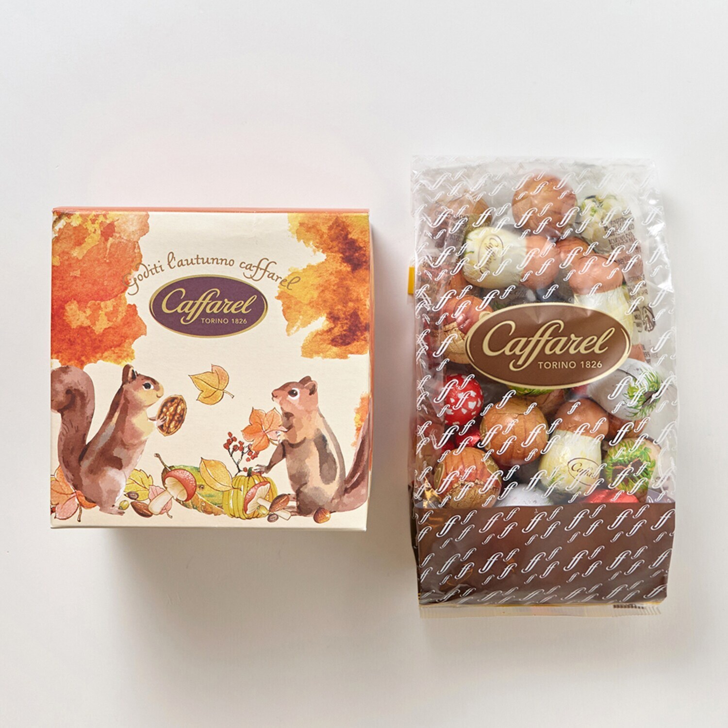 カファレル 森の仲間たち