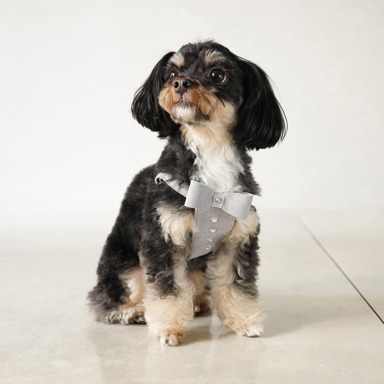 ＢＩＲＤＩＥ リンバーハーネス＜Ｓ＞