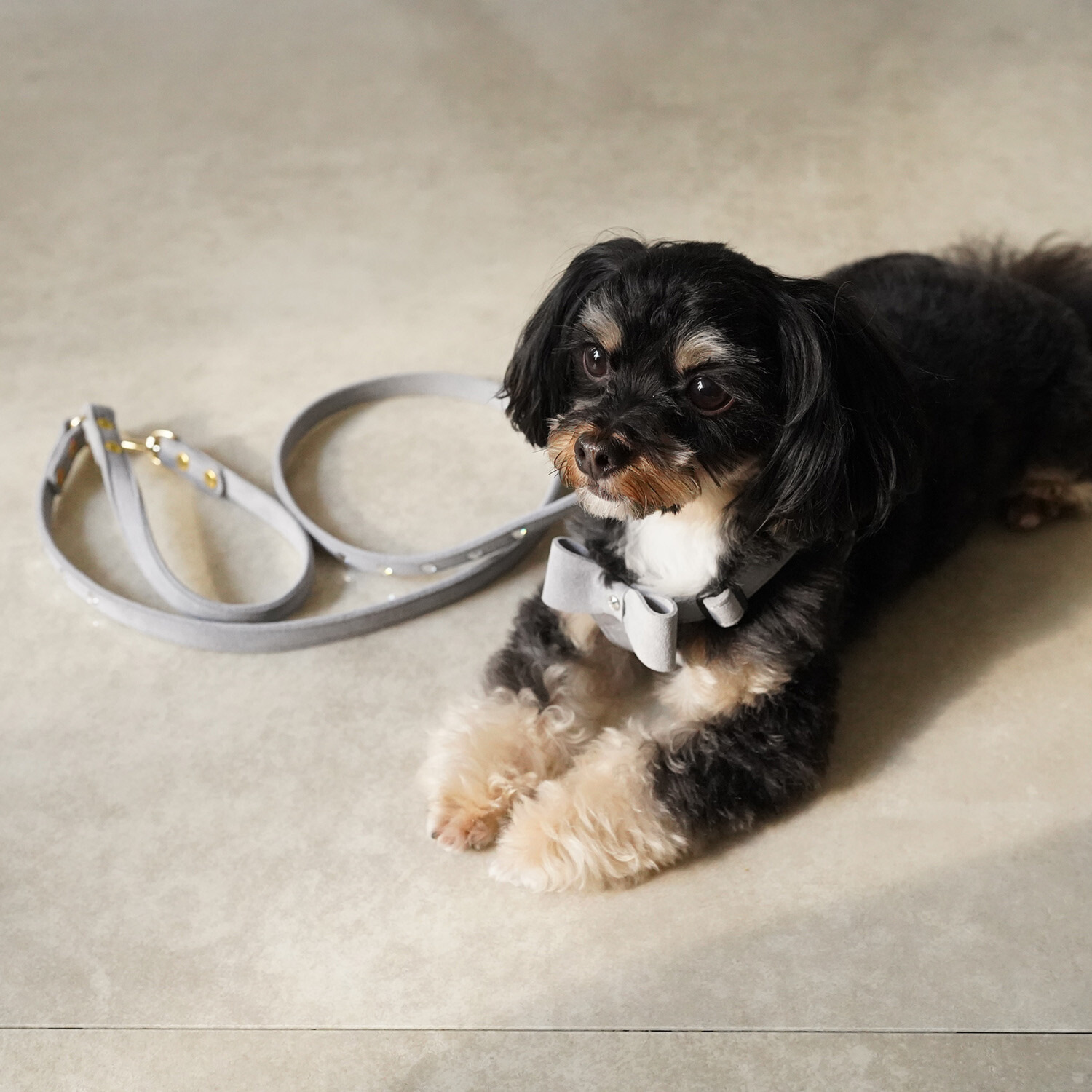 ＢＩＲＤＩＥ リンバーハーネス＜Ｓ＞