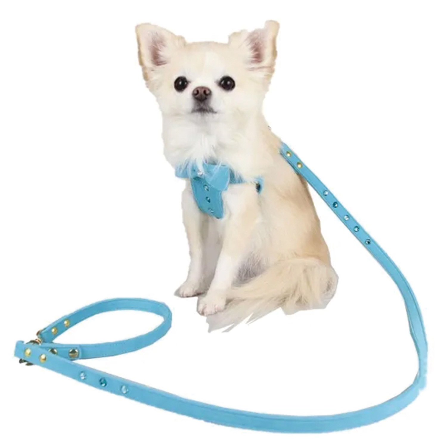 ＢＩＲＤＩＥ リンバーハーネス＜Ｓ＞