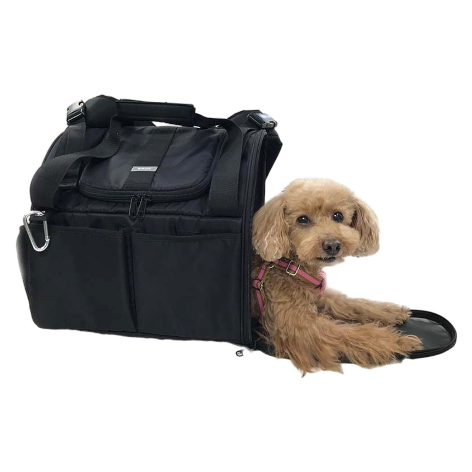 ＢＩＲＤＩＥ フィットライトリュック ＜Ｓ＞