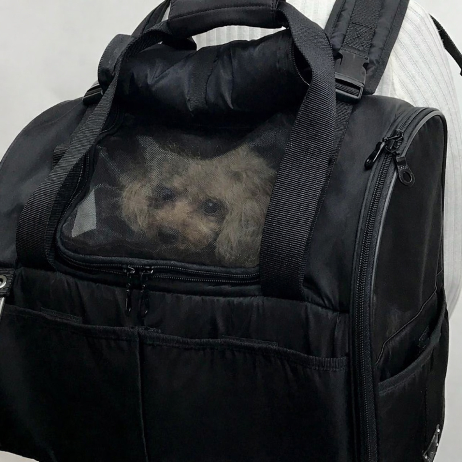 ＢＩＲＤＩＥ フィットライトリュック ＜Ｓ＞