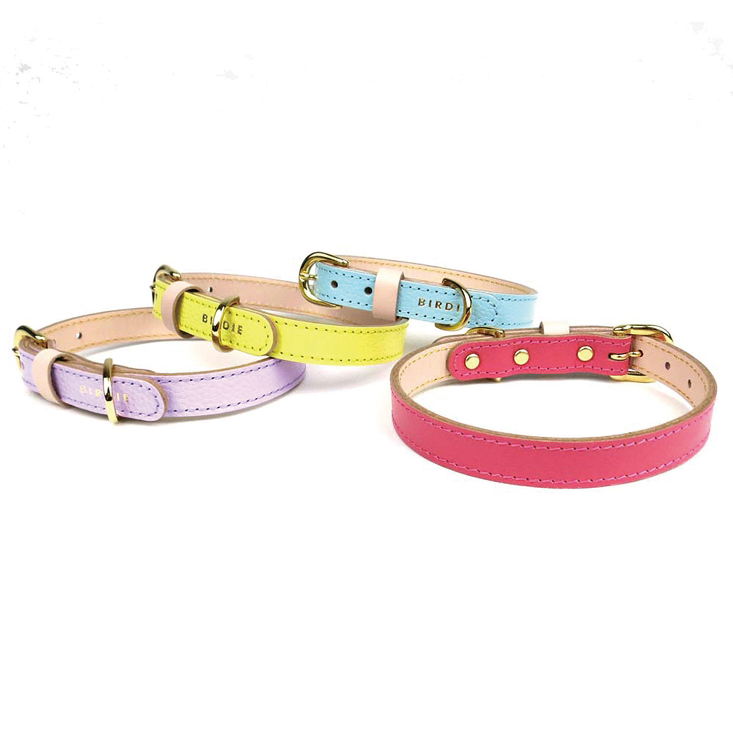 ＢＩＲＤＩＥ ボニーカラー＜Ｍ＞