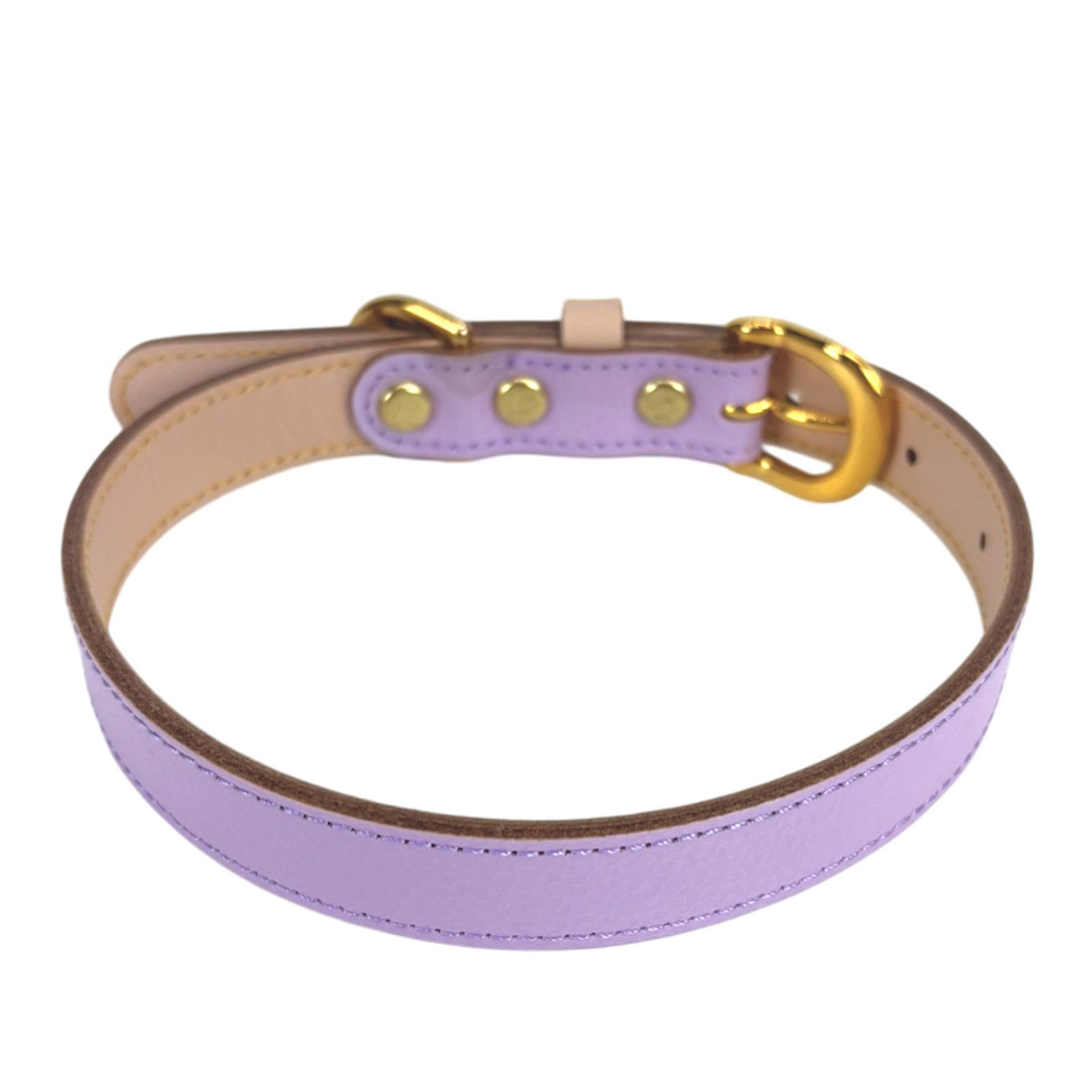 ＢＩＲＤＩＥ ボニーカラー＜Ｌ＞