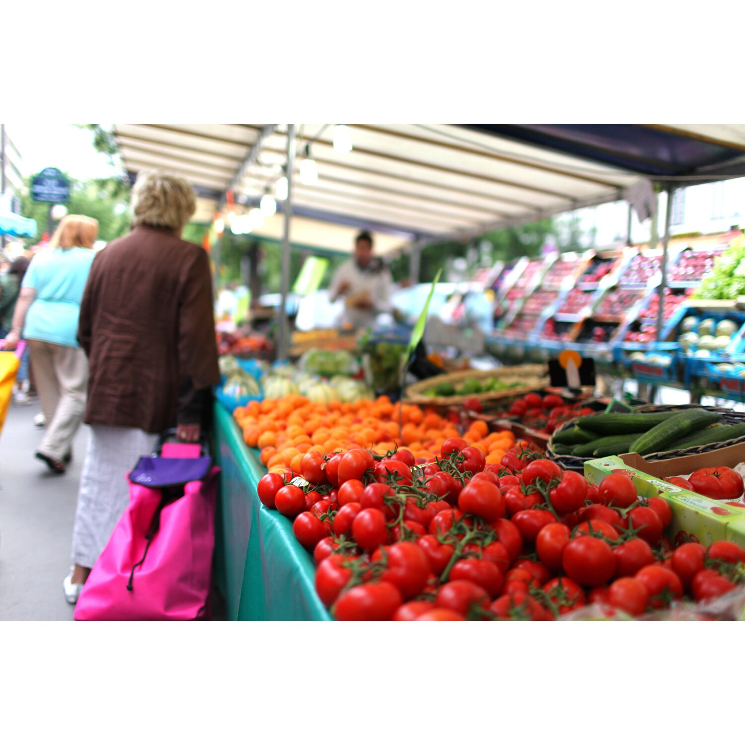 大人時間を愉しむ 癒しの南仏ニース＆ 花の都パリをめぐる フランス８日間 “羽田空港発着 　２名１室”