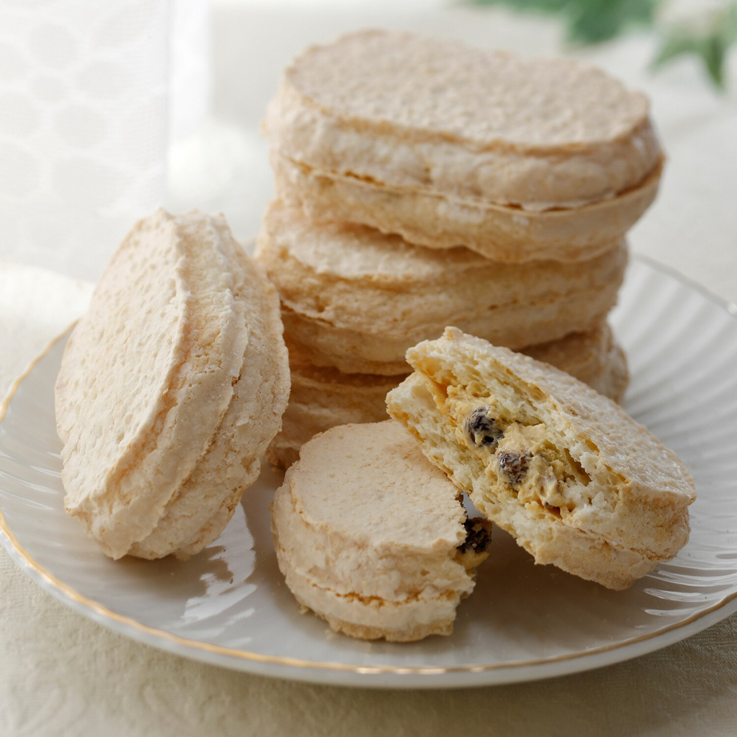 贅沢な味わい 濃厚クリームの ダックワーズ （ラムレーズン＆ショコラ）