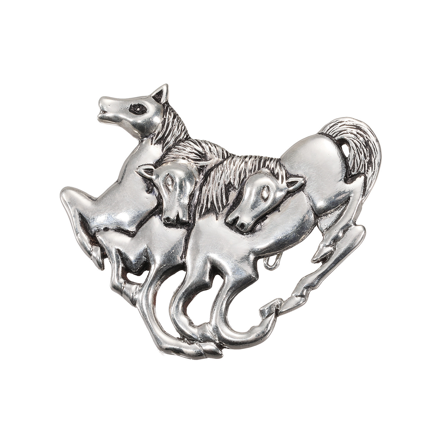 ビバック ペンダントブローチ＆ レザーネックレス ＜神守り＞の象徴 “インカホース” 金財・富・健康・勝守り