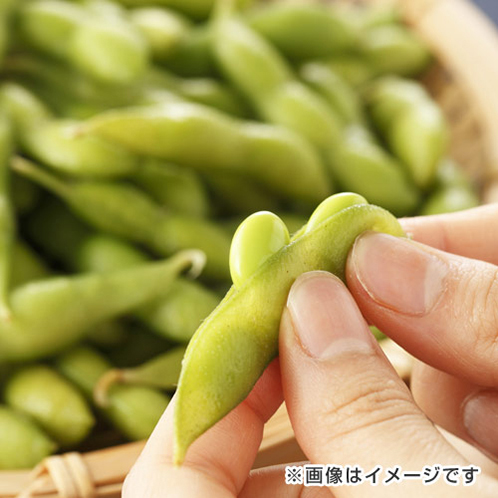 北海道十勝中札内村産 さや付きえだ豆（冷凍）
