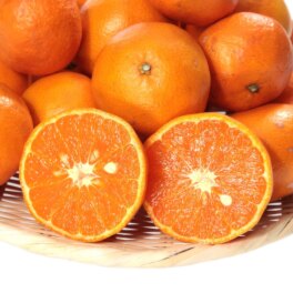 愛媛県産 カラマンダリン