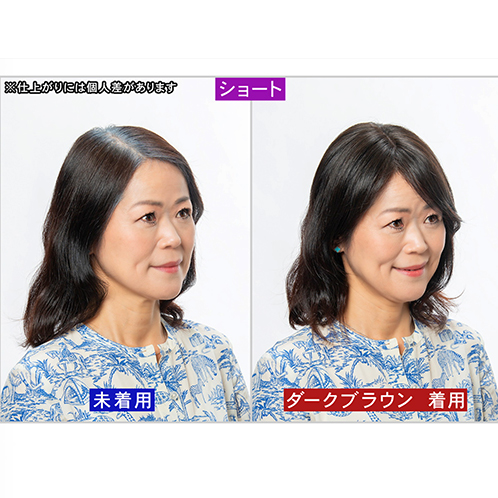 ぺスカ 特許取得！ ふんわりボリューム演出 クリップ不要！白髪特化型 ポイントウィッグ チャチャ＜ショート＞ 特別セット