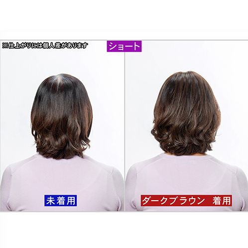 ぺスカ 特許取得！ ふんわりボリューム演出 クリップ不要！白髪特化型 ポイントウィッグ チャチャ＜ショート＞ 特別セット