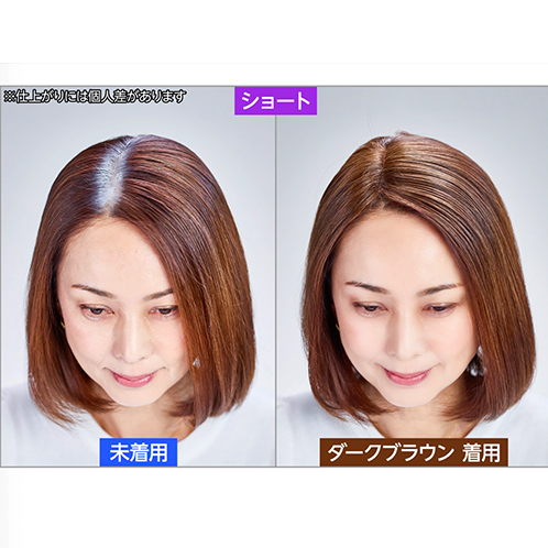ぺスカ 特許取得！ ふんわりボリューム演出 クリップ不要！白髪特化型 ポイントウィッグ チャチャ＜ショート＞ 特別セット