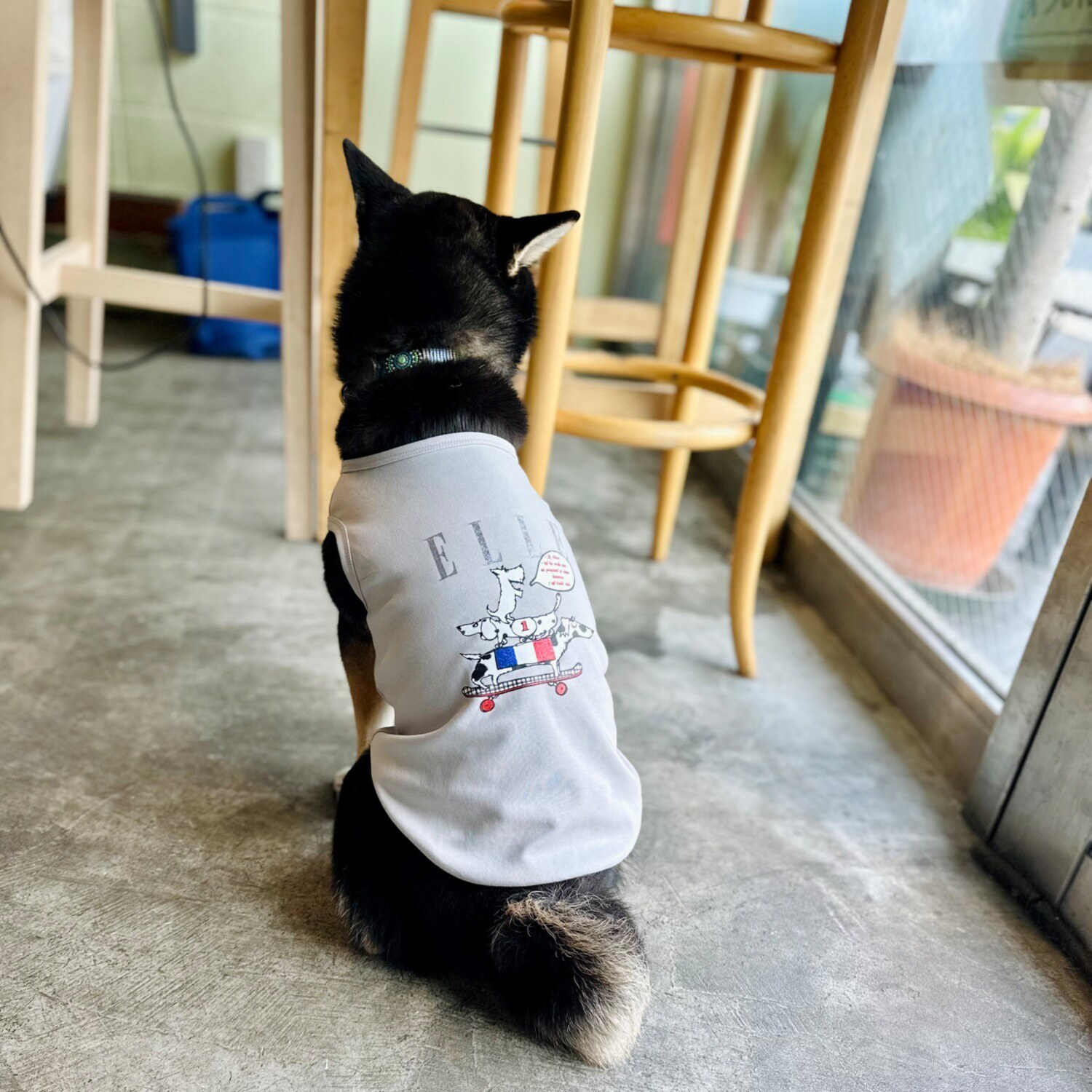エル　ステュディオ ドッググラフィック グリッタープリント ペットウェア