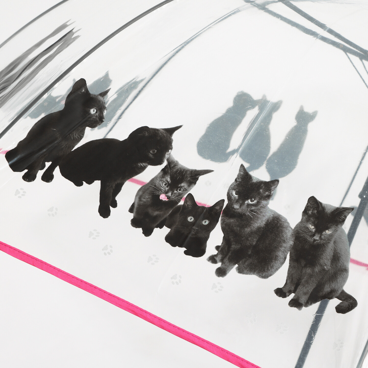 ラルジュ キャッツフォトプリント ビニール傘