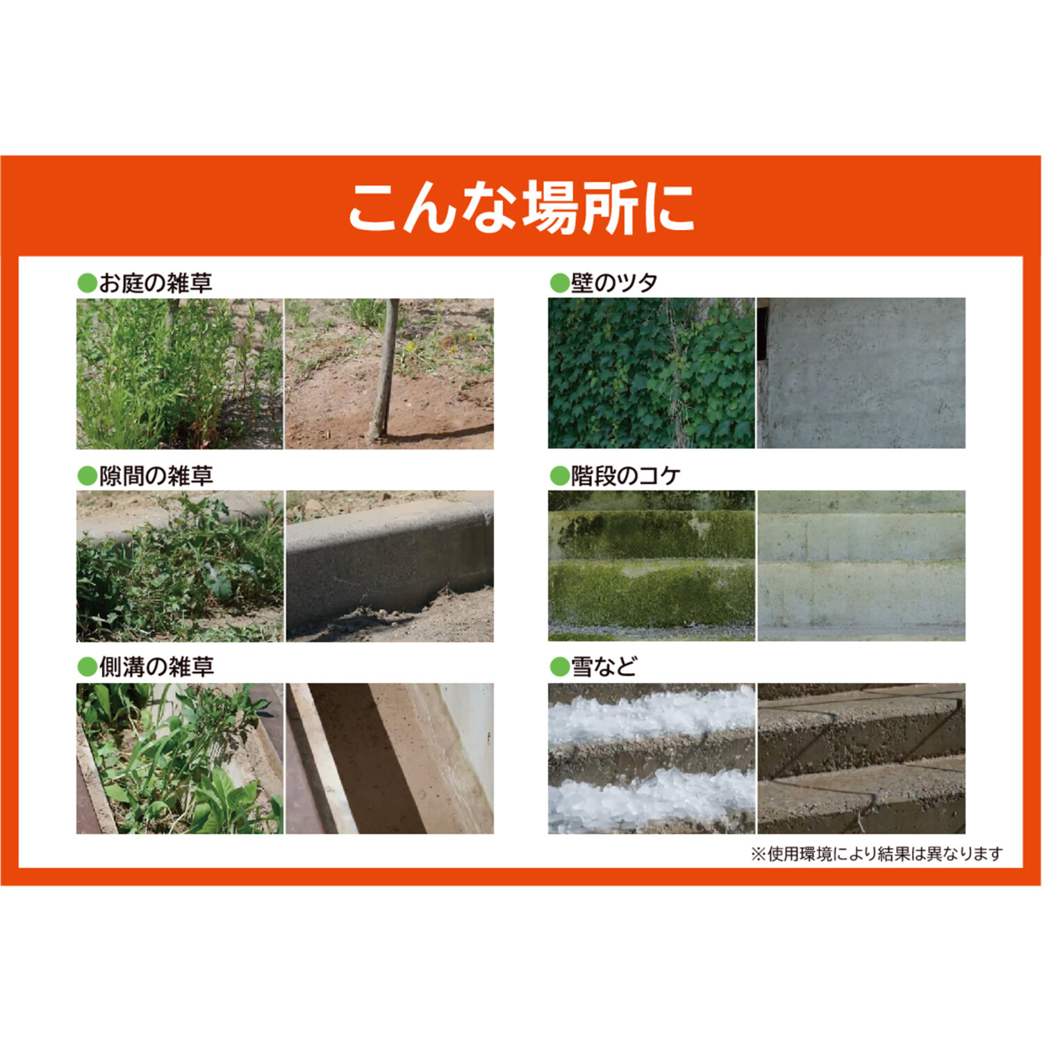 雑草から壁面のツタまで ラクラク除去！ Ｖｉｖａ ごっそりシャベル 特別セット