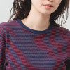 エムエムオー クルーネックボーダー ジャガードリブＴシャツ